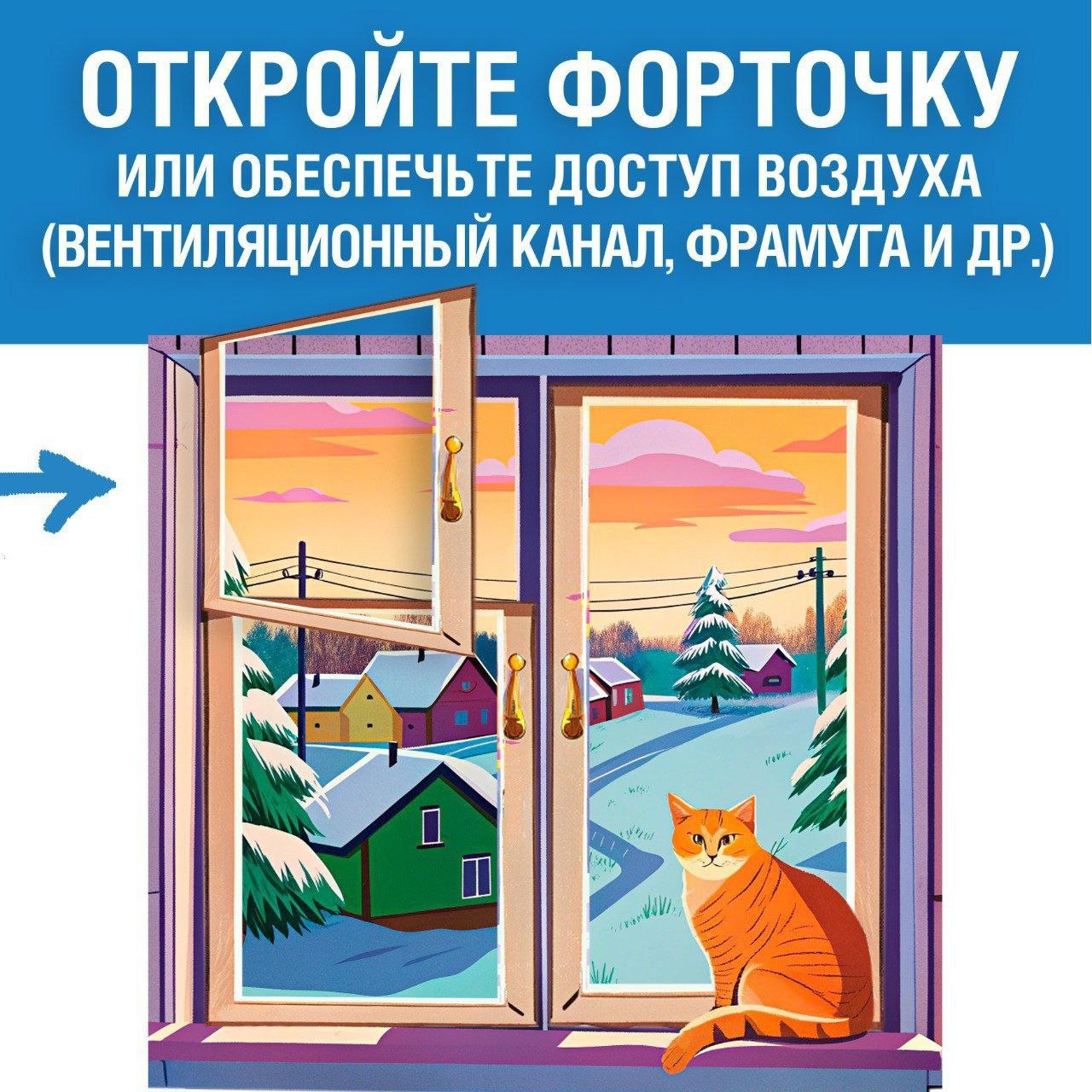 photo 10 2026 01 13 08 11 53